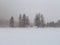 Snow storm in Folgaria, Trentino, winter season, trees