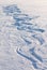 Snow surface with wavy tracks