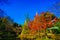 Snow suspension in Japanese garden