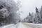 Snow-swept road. Winter landscape. Frozen forest, Russia