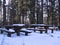 Snow tables with benches in the forest in winter. Recreation area in the mountains.