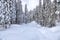 Snow time Near Shaver lake Lakeshore , California