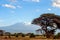 Snow on top of Mount Kilimanjaro in Amboseli