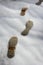 Snow track shoes footprints on snowed way