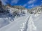 Snow trail, path made by people touring on skis in sunny winter