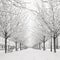 Snow tree on Kampa island, Prague