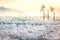 Snow trees with ferris wheel panoramic view