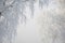 Snow on a trees. Frost branches on fog background.