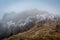 Snow trees, Tonglu, Nepal