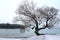 Snow view of Lake Wakatipu