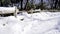 Snow walkway and railing in the forest Noboribetsu onsen