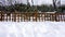 Snow walkway and wooden railing in the forest Noboribetsu onsen