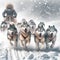 Snow Warriors: Husky Sled Team Conquering the Storm