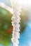 Snow water icicle detail macro bokeh background