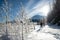 Snow white near the nordic ski track