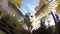 Snow White owl flies in camera viewpoint, landscape background