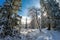 Snow-white trees in the Zyuratkul national park..