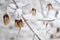 Snow winter frost maple seed branch christmas mood forest