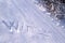 Snow- with Winter text on snow