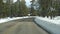 Snow in wintry forest, driving auto, road trip in winter Utah USA. Coniferous pine trees, view from car thru windshield