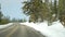 Snow in wintry forest, driving auto, road trip in winter Utah USA. Coniferous pine trees, view from car thru windshield