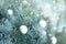 Snowball on Christmas tree