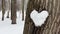 A snowball heart on a tree trunk. A heart-shaped snow figure is attached to a tree. There is a thaw in the forest and