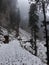 Snowball in India mountain valley in winter season