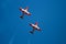 Snowbird Stunt Planes