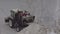 A snowblower tractor collects and unloads snow in a pile for transportation during heavy snowfall