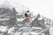 Snowboard ski freestyle big air contest in the background Mittelhorn mountain. Snowboard tricks, ski tricks. Jungfrau region