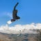 Snowboarder doing high jump above the mountain