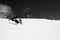 Snowboarder fall down with snow splashes on snowy off-piste ski slope. Black and white toned image