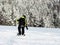 Snowboarder in the forest