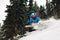 Snowboarder is jumping and freeriding in the mountain forest