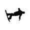 Snowboarder man silhouette