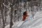 Snowboarder in orange camouflage outfit gliding on fresh powder snow in the forest