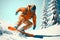 Snowboarder in orange skyjacket in the snowy mountains sport illustration