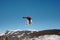 Snowboarder over the Rockies