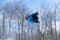 A snowboarder performs an aerial grab in a terrain park