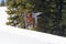 Snowboarder pulling tricks on the Colorado Rockies slopes