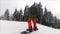 Snowboarder rides in carpathian mountains