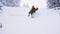 Snowboarder riding deep powder snow in Slow Motion. Snowboarder carving in fresh snow. Extreme free ride snowboarder riding fresh