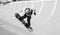 Snowboarder Spinning into the pipe in B/W half-pipe competition, Mammoth Mountain, California USA