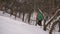 Snowboarder Walks Snow Slope