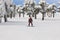 Snowboarding on a forest ski slope. White winter mountain landscape