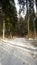 Snowbound Trails: Sun-Drenched Journeys Through Wintry Forests. Pokainu Mezs, Latvija