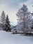 Snowbound trees in Austria