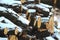 Snowbound woodpile under rural shed