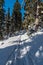 Snowcapped hiking trail in winter forest with clear sky in Jeseniky mountains in Czech republic